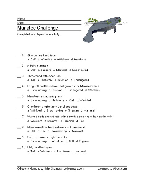 Manatee Vocabulary Worksheet