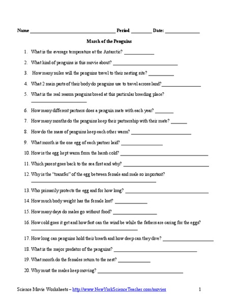 March of the Penguins Worksheet