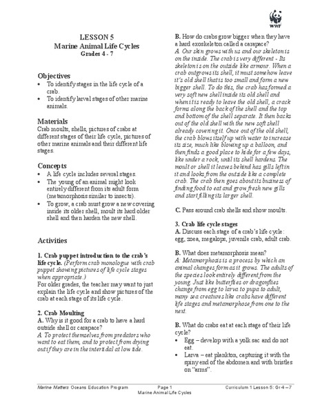 Marine Animal Life Cycles Lesson Plan