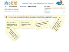 Marine Animals Quiz Interactive