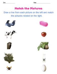 Match the Pictures Worksheet