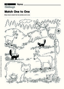 Match One to One Worksheet