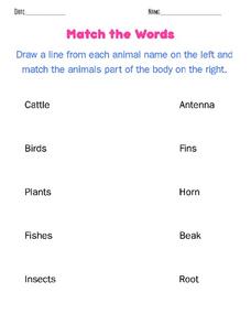 Match the Words Worksheet