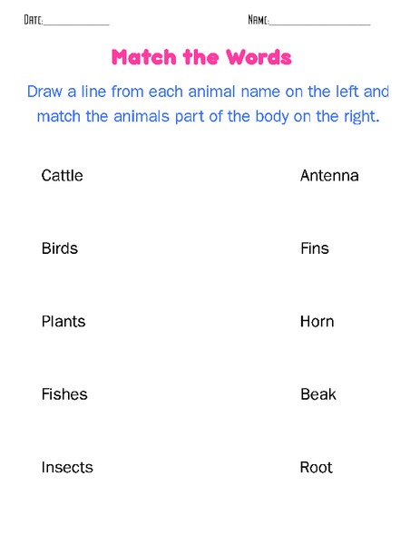 Match the Words Worksheet