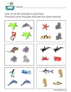 Matching Pairs Lesson Plan