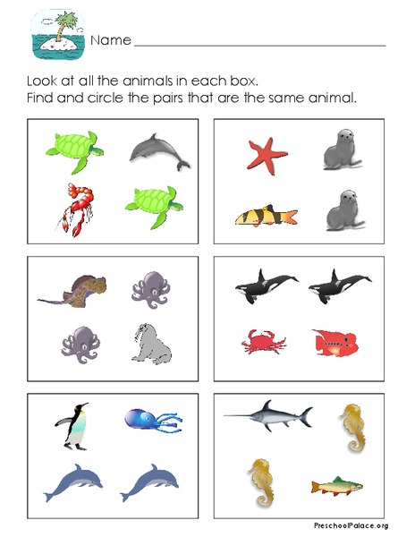 Matching Pairs Lesson Plan