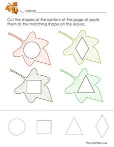 Matching Shapes Lesson Plan
