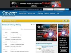 Matching Worksheet Worksheet