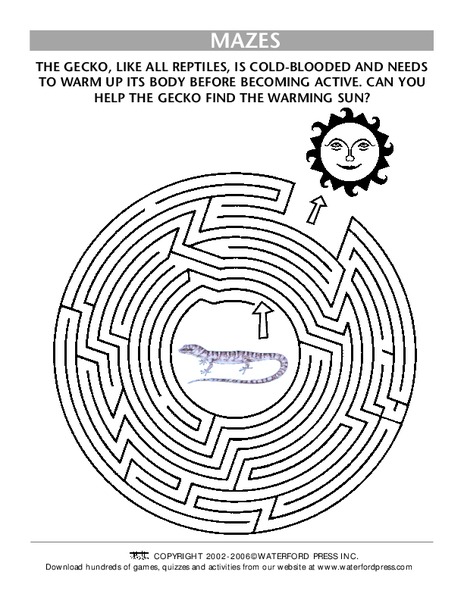 Mazes Lesson Plan