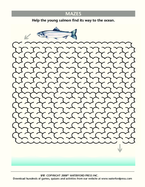 Mazes Lesson Plan