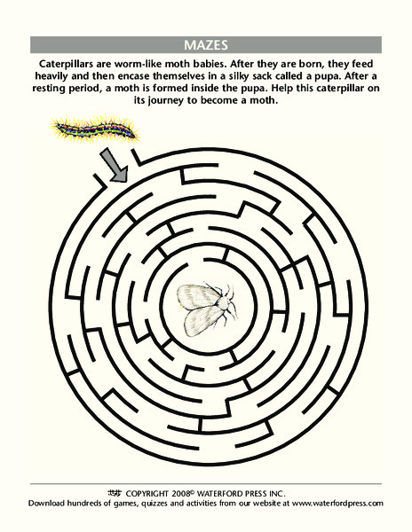 Mazes Lesson Plan