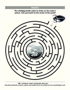 Mazes Lesson Plan