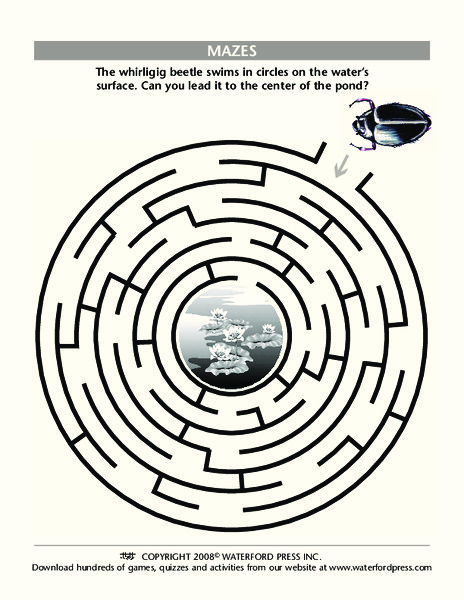 Mazes Lesson Plan