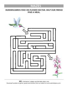 Mazes Lesson Plan
