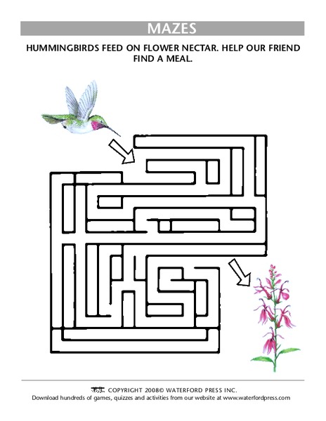 Mazes Lesson Plan