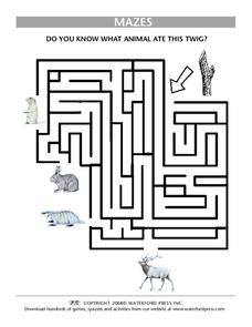 Mazes Lesson Plan