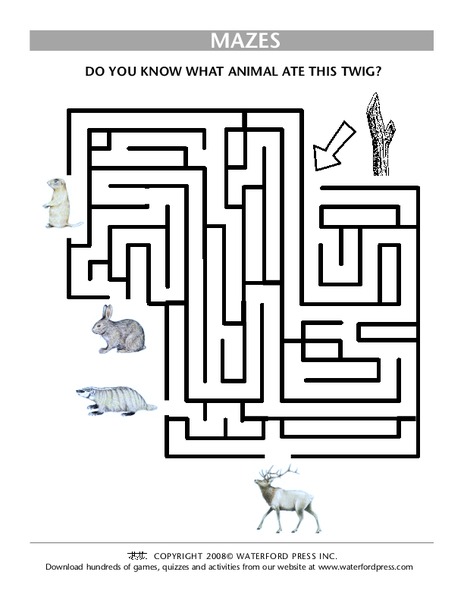 Mazes Lesson Plan