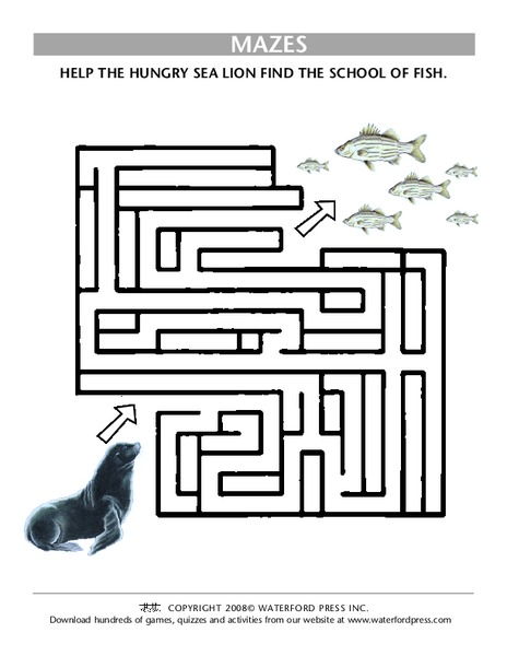 Mazes Lesson Plan