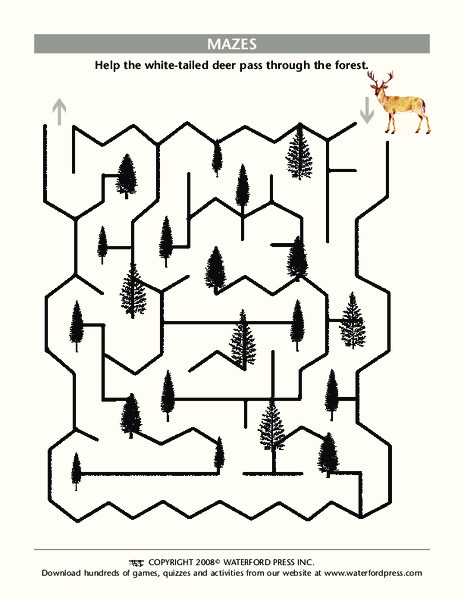 Mazes Lesson Plan