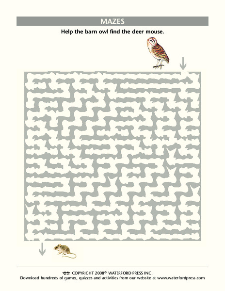 Mazes Lesson Plan
