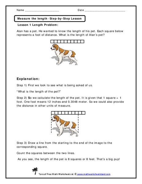 Measure the Length  Worksheet