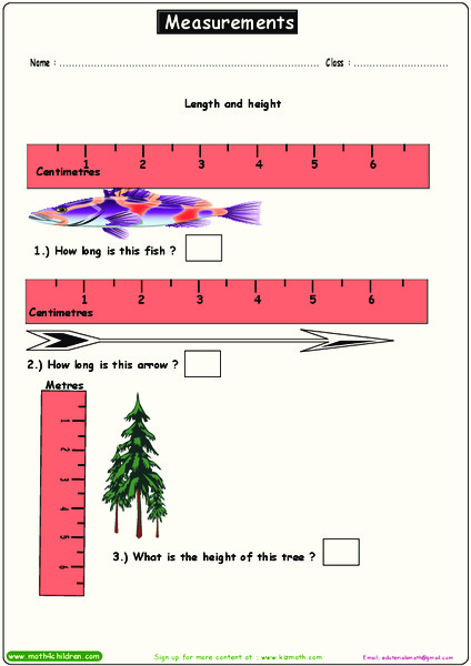 Measurements Worksheet