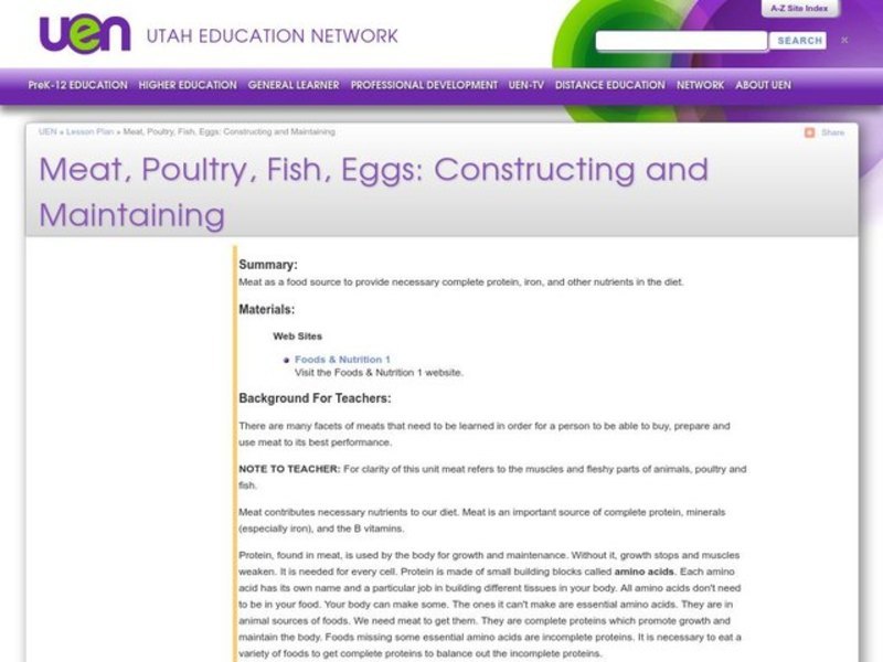 Meat, Poultry, Fish, Eggs: Constructing and Maintaining Lesson Plan