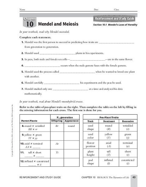 Mendel's Laws of Heredity Worksheet