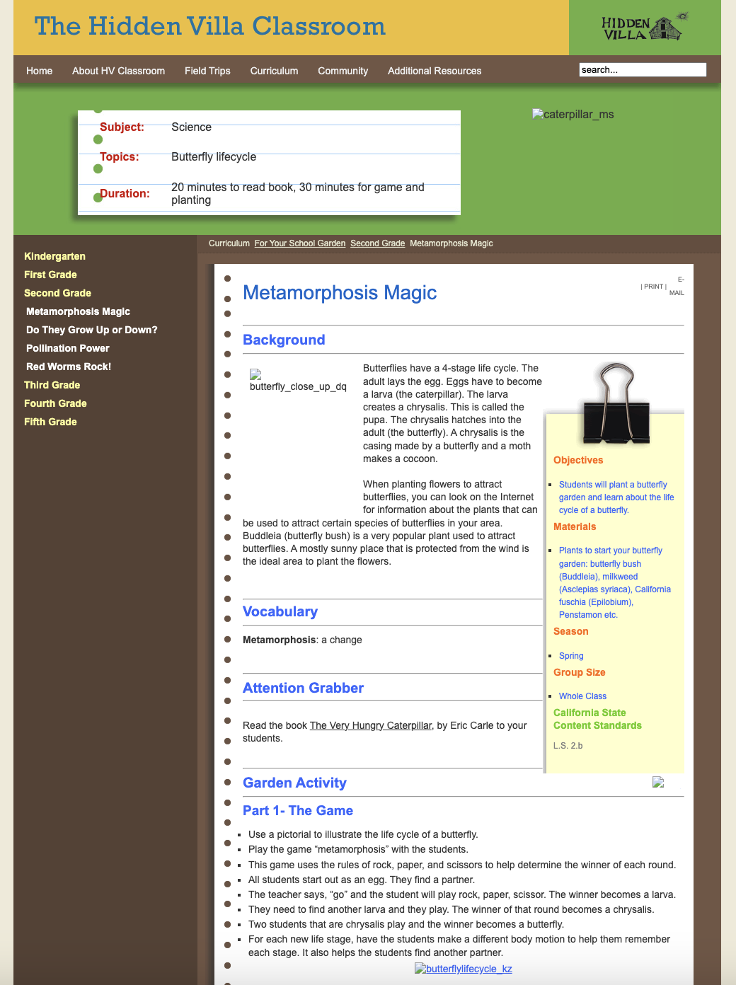 Metamorphosis Magic Lesson Plan