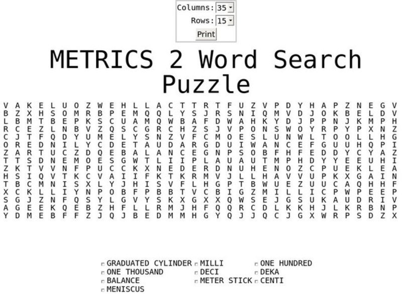 Metrics 2 Word Search Worksheet