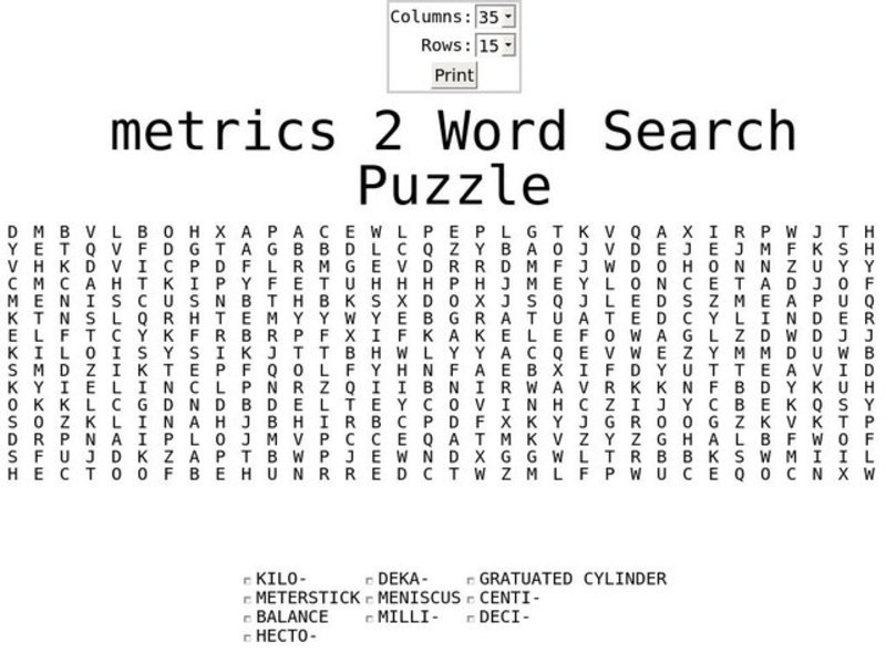 Metrics 2 Word Search Worksheet