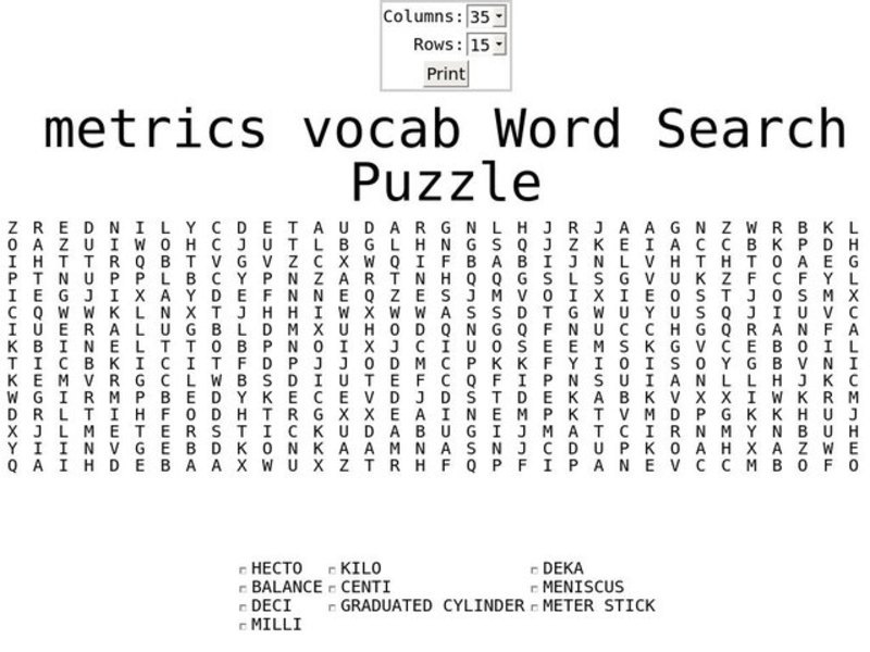 Metrics Vocab Word Search Worksheet
