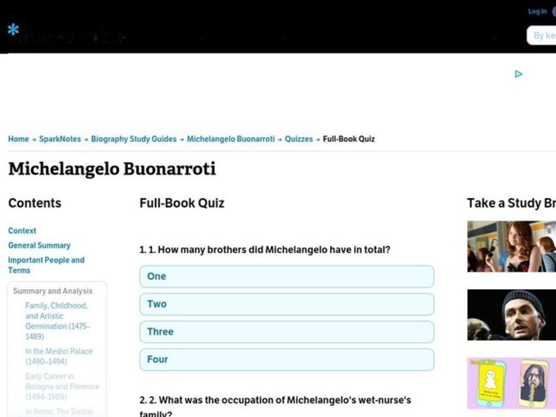 Michelangelo Buonarroti Interactive