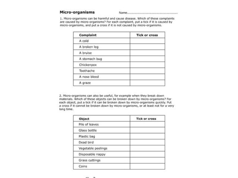 Micro-organisms Organizer