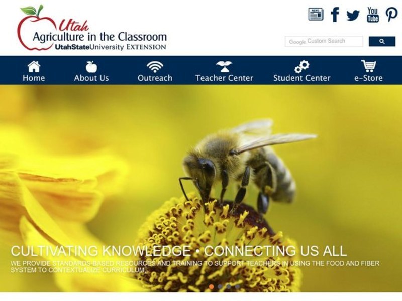 Microbe Experimentation Lesson Plan