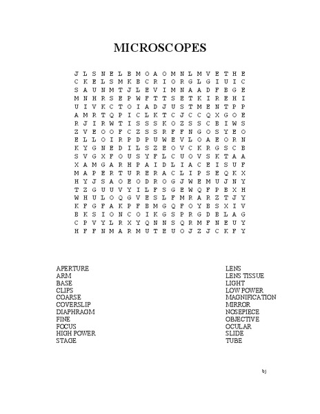 Microscopes Worksheet