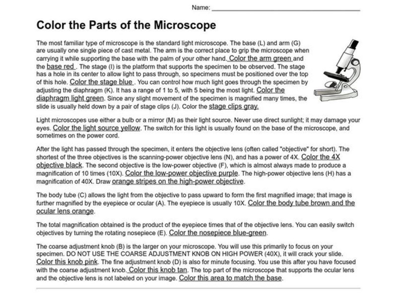 Microscopes Lesson Plan