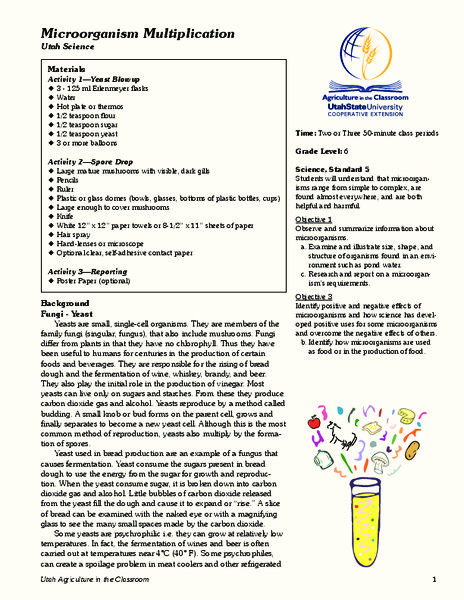 Microorganism Multiplication Lesson Plan