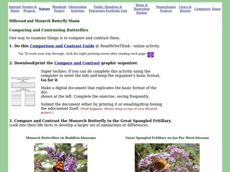 Milkweed and Monarch Butterfly Mania Interactive