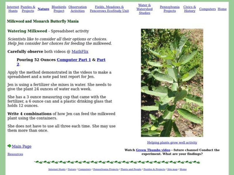 Milkweed and Monarch Butterfly Mania Worksheet