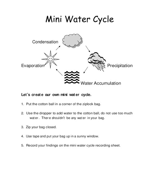 Mini Water Cycle Worksheet