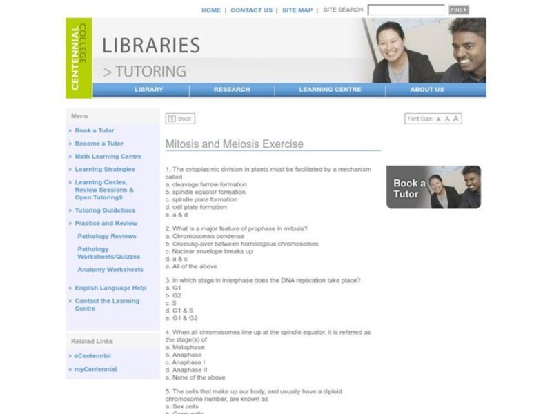 Mitosis and Meiosis Exercise Worksheet