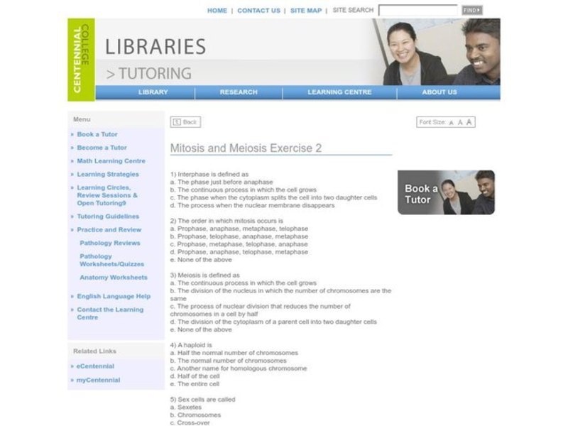 Mitosis and Meiosis Exercise Worksheet