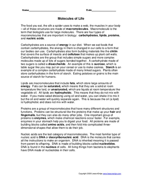 Molecules of Life Worksheet