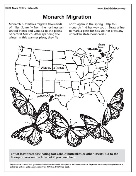 Monarch Migration Lesson Plan