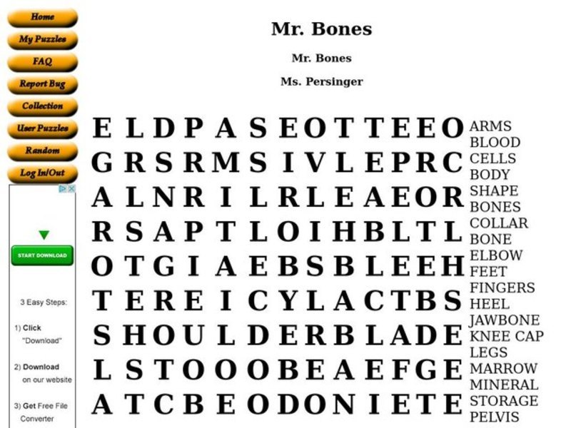 Mr. Bones Worksheet