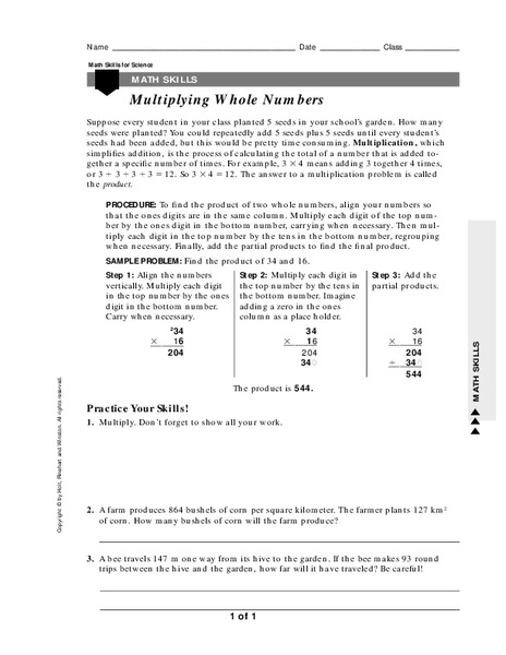 Multiplying Whole Numbers Worksheet