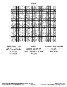Muscles Word Search Worksheet