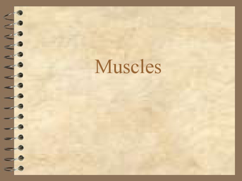 Muscles PPT