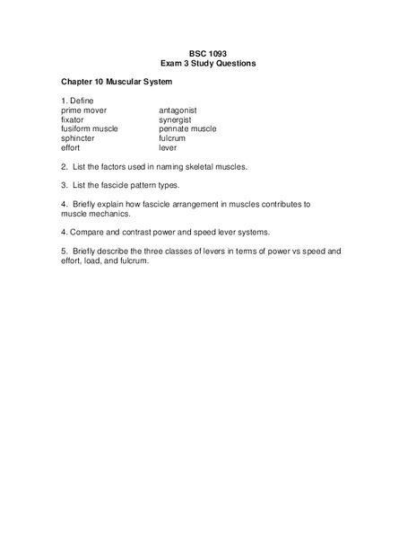 Muscular System Lesson Plan